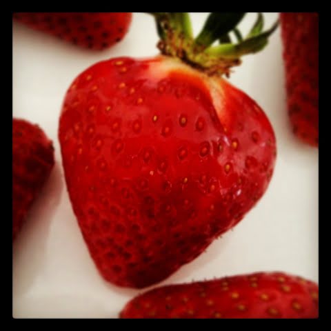 Frische Erdbeeren als Snack